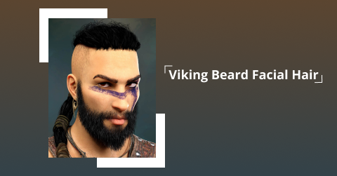 Viking Beard Facial Hair 