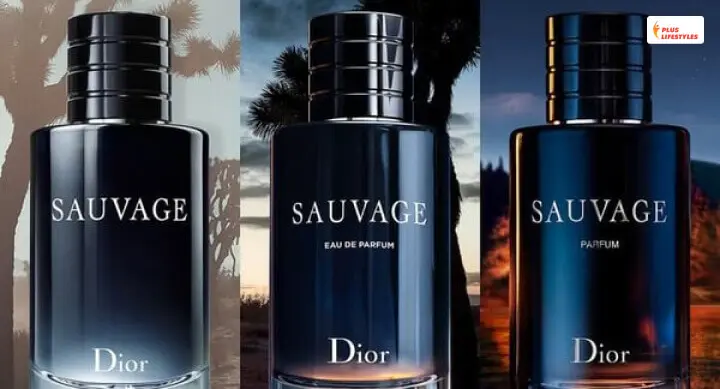 Dior Sauvage Dossier.Co - Things That You Need To Know In 2022