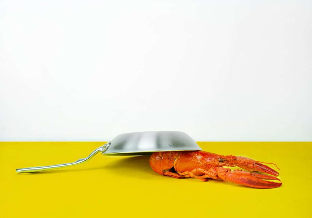 Delightful Delicacy: Exploring The Love For Lobsters And Their Culinary Allure