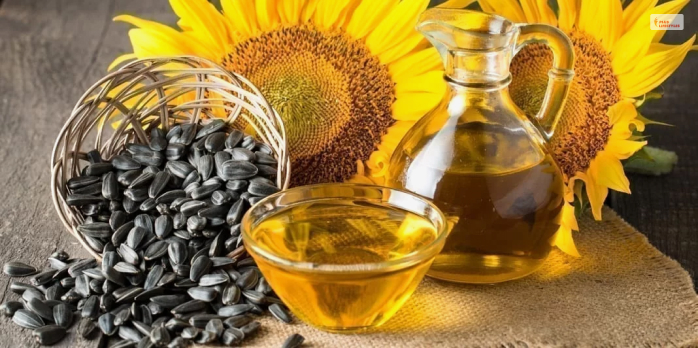 Sunflower Oil   
