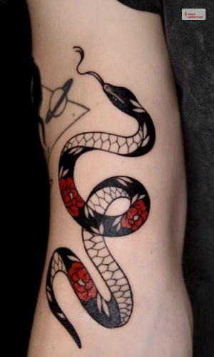 Snake Polka Trash Tattoo Style For Women- 1