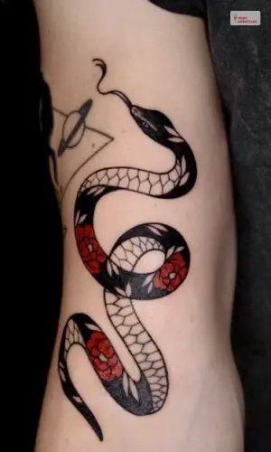 Snake Polka Trash Tattoo Style For Women- 1