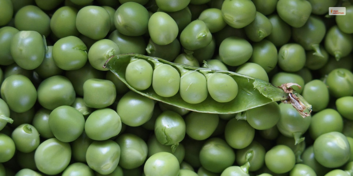 Green Peas