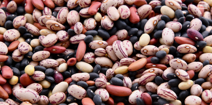 Kidney Beans