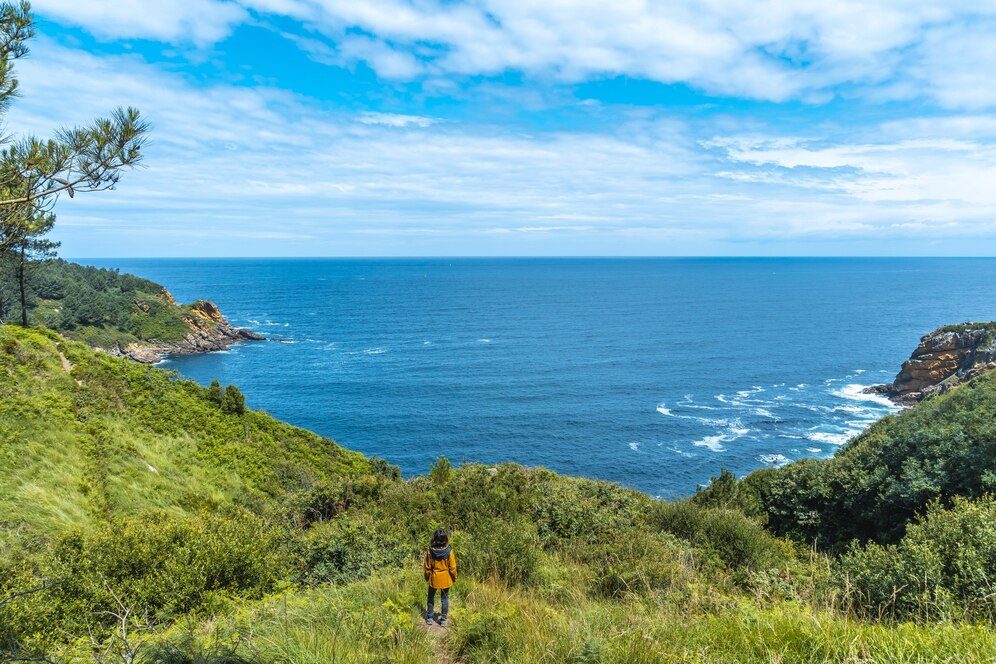 Pristine Coastline of Florianopolis