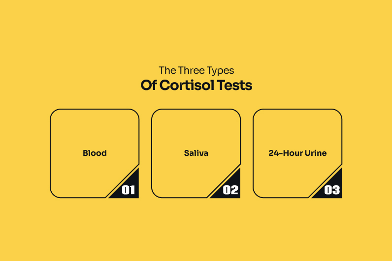 The Three Types Of Cortisol Tests